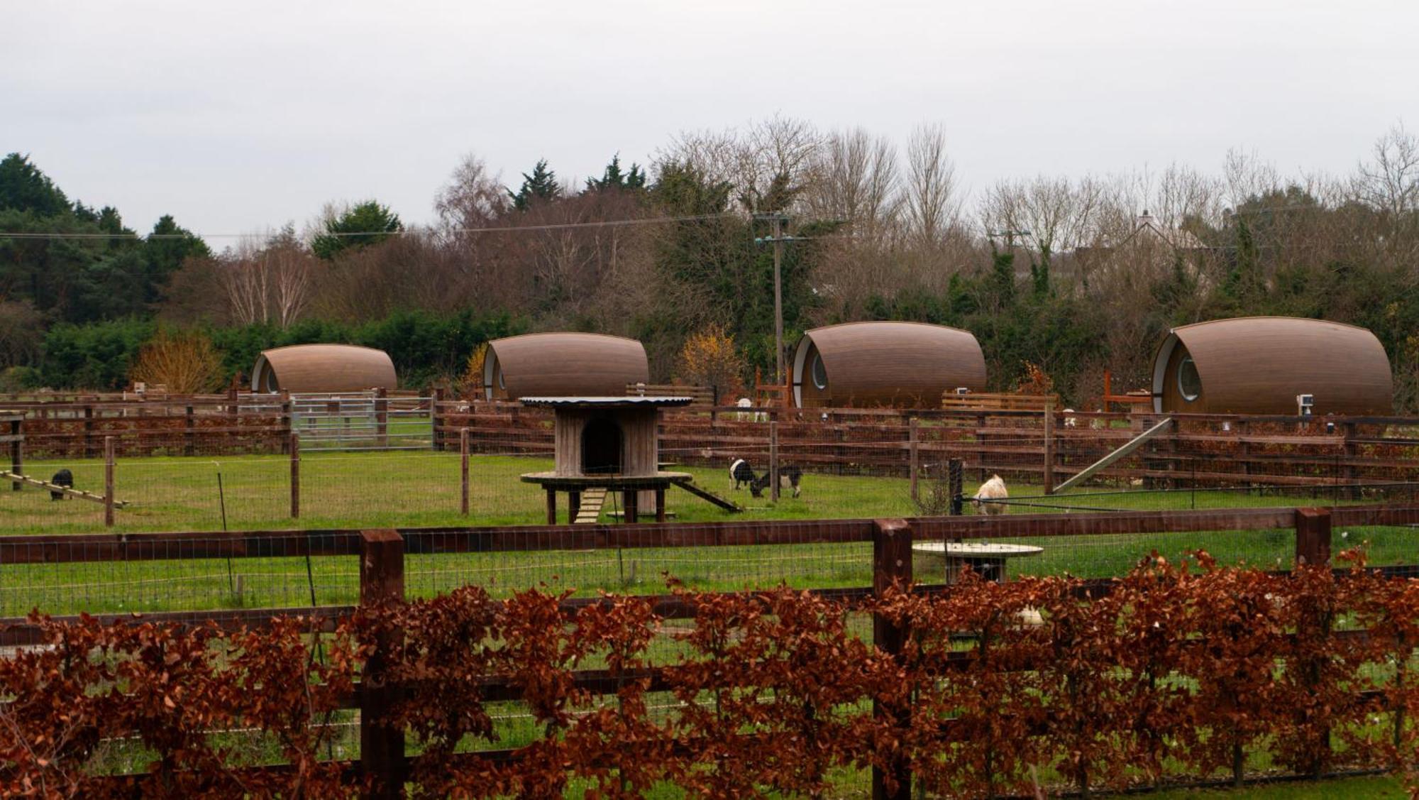 Luxury Glamping Pod Villa Malahide Exterior photo